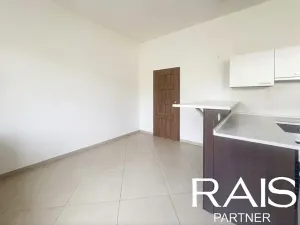 Prodej bytu 2+kk, Brno, Svitavská, 80 m2