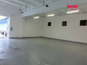 Pronájem skladu, Veselí nad Lužnicí - Veselí nad Lužnicí II, 150 m2