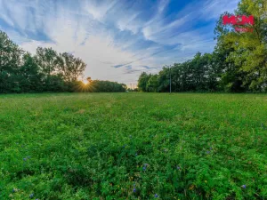 Prodej louky, Horní Bříza, 4590 m2