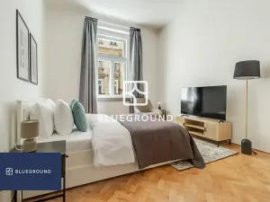 Pronájem bytu 1+1, Praha - Vinohrady, Řipská, 38 m2