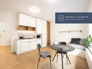 Pronájem bytu 1+kk, Brno, Cejl, 31 m2