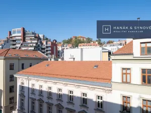Pronájem bytu 1+1, Brno, Anenská, 43 m2
