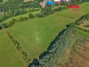 Prodej louky, Pecka, 17267 m2