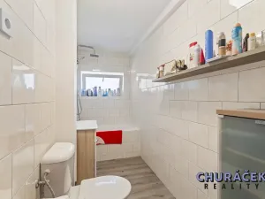 Pronájem chaty, Lešany, 80 m2