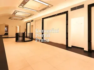 Pronájem restaurace, Praha - Nové Město, Václavské náměstí, 309 m2