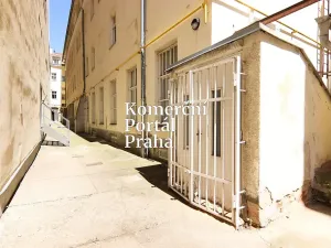 Pronájem obchodního prostoru, Praha - Nové Město, Václavské náměstí, 309 m2