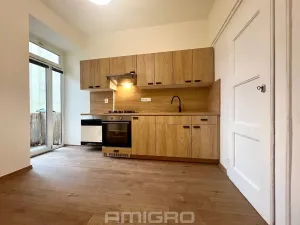 Pronájem bytu 1+1, Brno, Helfertova, 43 m2