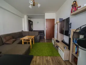 Prodej bytu 2+1, Mladá Boleslav, 17. listopadu, 66 m2