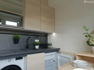 Pronájem bytu 1+kk, Brno, Zvěřinova, 13 m2