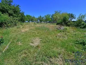 Prodej rodinného domu, Trhový Štěpánov, Dalkovická, 110 m2
