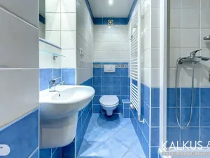 Pronájem bytu 1+kk, Hradec Králové, Smetanovo nábřeží, 27 m2