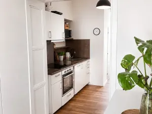 Pronájem bytu 1+1, Brno, Údolní, 45 m2