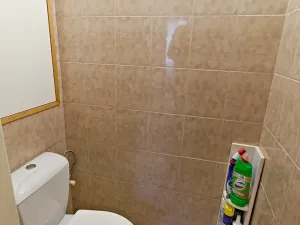 Pronájem bytu 2+1, Domažlice, Palackého, 50 m2