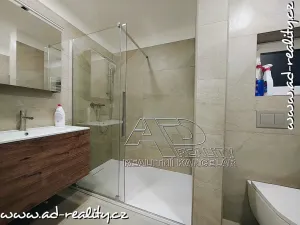 Pronájem bytu 2+kk, Praha - Vršovice, Oblouková, 41 m2