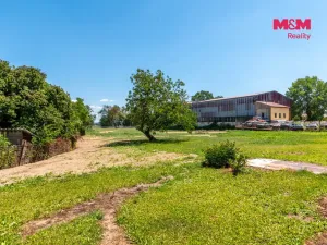 Prodej zemědělské usedlosti, Libějovice - Nestanice, 163 m2