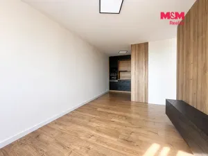 Prodej bytu 2+kk, Most, Albrechtická, 40 m2