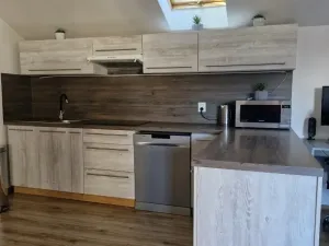 Pronájem atypického bytu, Droužkovice, Rudé armády, 62 m2