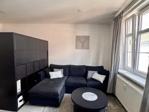 Prodej bytu 1+1, Teplice, Fügnerova, 48 m2