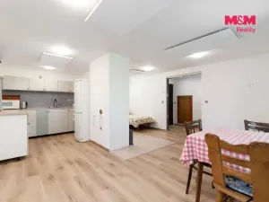 Prodej rodinného domu, Město Albrechtice - Česká Ves, 142 m2