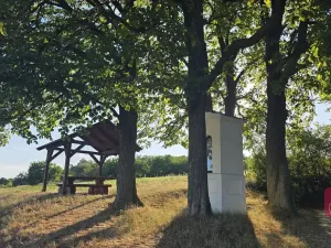 Prodej zahrady, Tvarožná, 1236 m2