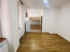 Pronájem bytu 1+kk, Olomouc, Uhelná, 30 m2