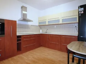 Pronájem bytu 1+1, Krnov, SPC A, 41 m2