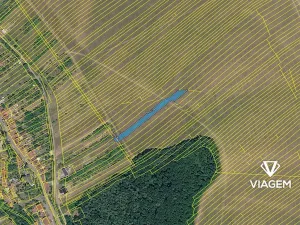Prodej pole, Boršice u Blatnice, 1908 m2