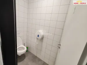Pronájem skladu, Ostrov, 4400 m2