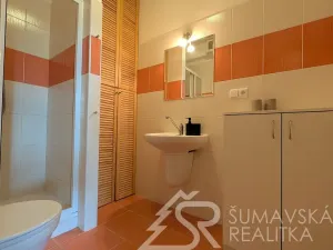 Pronájem bytu 1+1, Kašperské Hory, Náměstí, 46 m2