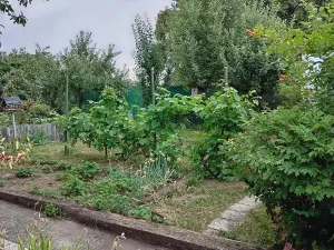 Prodej zahrady, Kladno, U Trati, 180 m2