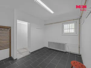 Prodej obchodního prostoru, Hradec Králové - Pražské Předměstí, Seydlerova, 195 m2