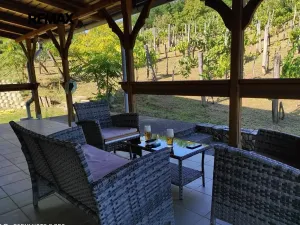 Prodej chalupy, Pincehely, Maďarsko, 64 m2