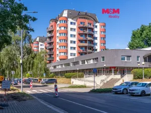 Prodej bytu 1+kk, Pardubice - Zelené Předměstí, nábřeží Závodu míru, 32 m2