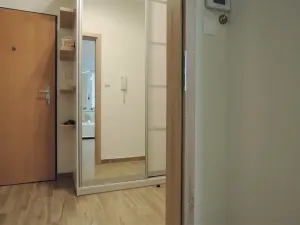 Pronájem bytu 1+kk, Brno, Hrázka, 37 m2