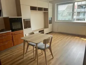 Pronájem bytu 1+kk, České Budějovice, Riegrova, 32 m2