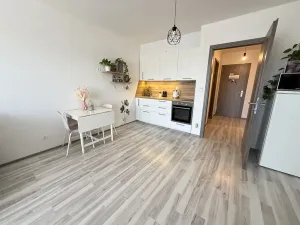 Pronájem bytu 1+kk, Rajhrad, Masarykova, 42 m2