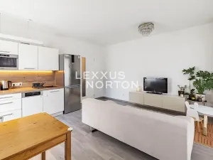 Prodej bytu 2+kk, Praha - Žižkov, Olgy Havlové, 53 m2