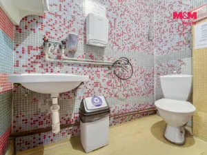 Pronájem obchodního prostoru, Plzeň - Jižní Předměstí, Husova, 93 m2