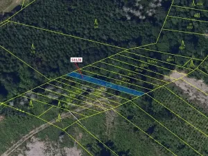 Dražba lesa, Havlíčkův Brod, 212 m2