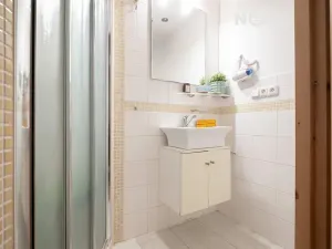 Prodej chalupy, Lhenice, Netolická, 335 m2
