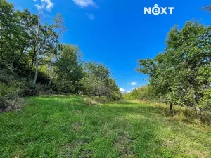 Prodej sadu/vinice, Lhenice, 3223 m2