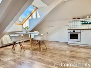 Pronájem bytu 1+kk, Praha - Vinohrady, Šrobárova, 50 m2