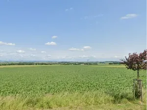 Prodej podílu pole, Těšetice, 57629 m2