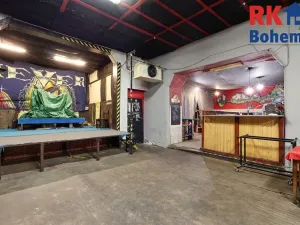 Prodej rodinného domu, Kolín, Veltrubská, 411 m2