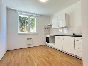 Pronájem bytu 2+kk, Mšené-lázně, Mládežnická, 40 m2