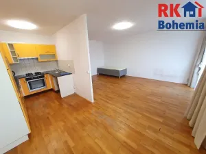 Pronájem bytu 3+1, Mladá Boleslav, Havlíčkova, 73 m2