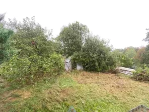 Dražba louky, Lužnice, 608 m2