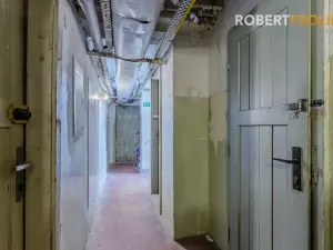 Prodej bytu 2+1, Praha - Bubeneč, Ve struhách, 48 m2