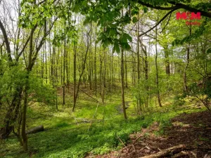 Prodej pozemku pro bydlení, Šenov, 6241 m2