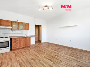 Prodej bytu 2+kk, Ústí nad Labem - Severní Terasa, Šrámkova, 40 m2